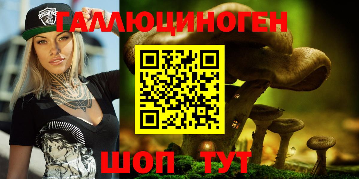 Клинцы  Галлюциногенные грибы MAGIC MUSHROOMS  продажа наркотиков  Вход с VPN 