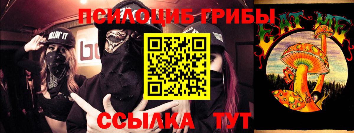 Галлюциногенные грибы Psilocybine cubensis Клинцы